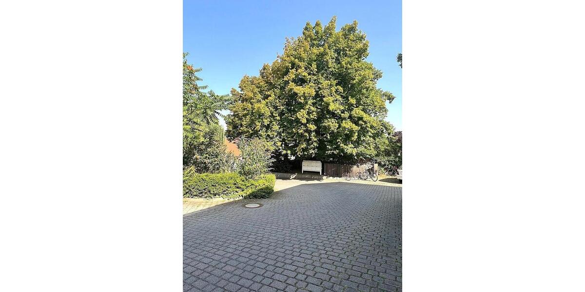 Gewerbeobjekt Thale - 1.700&euro; | Angebot:24847782