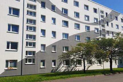 Wohnung Greifswald Groß Schönwalde - 1 Zimmer, 19 m&sup2;, 175&euro; | Angebot:26265854