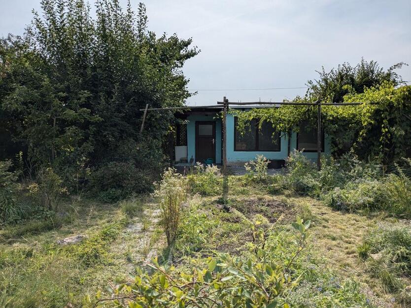 Pachtgarten Schrebergarten mit massiver Laube
