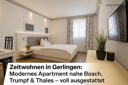 1-Zimmerwohnung (12) mit Internet, TV, Küchenzeile, DuscheWc, Waschmaschine, Trockner zimmer