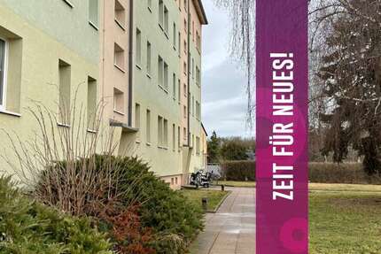 Wohnung Gröbzig Gröbzig - 3 Zimmer, 61 m&sup2;, 330&euro; | Angebot:23275777