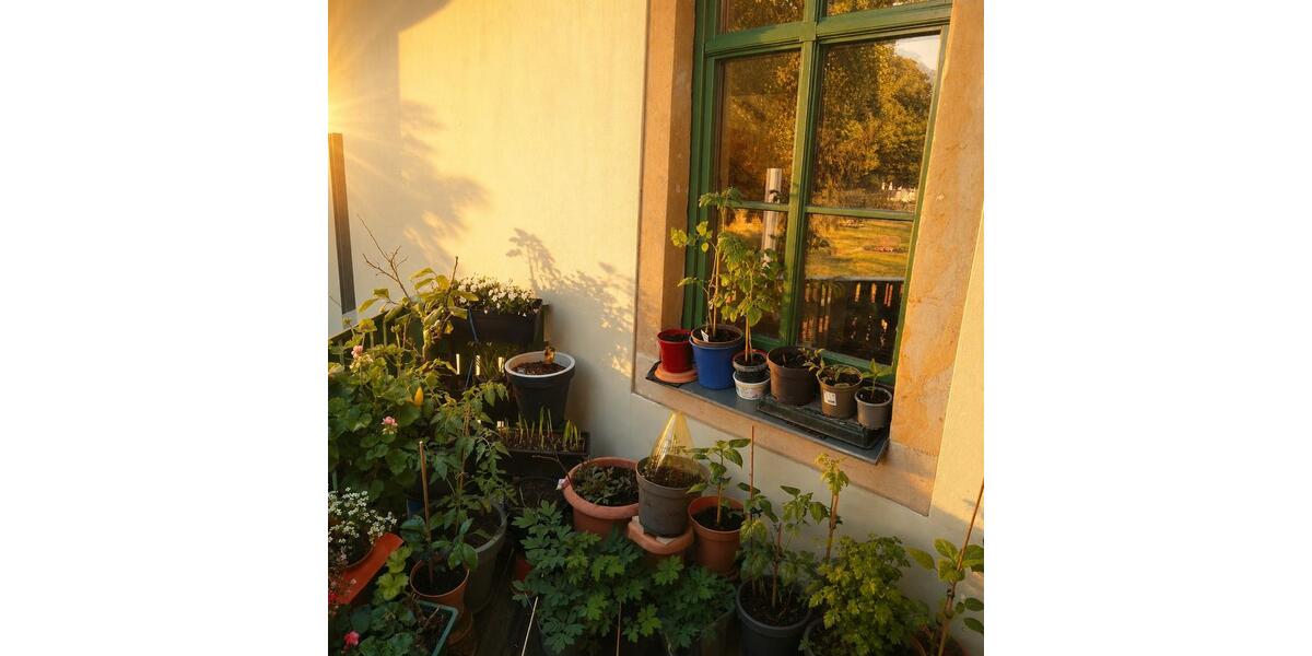 Etagenwohnung Strehla - 2 Zimmer, 50 m&sup2;, 290&euro; | Angebot:26606775