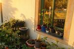 Etagenwohnung Strehla - 2 Zimmer, 50 m&sup2;, 290&euro; | Angebot:26606775