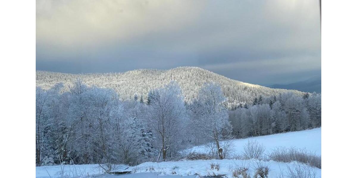 Etagenwohnung Arrach - 3.5 Zimmer, 450&euro; | Angebot:11047614