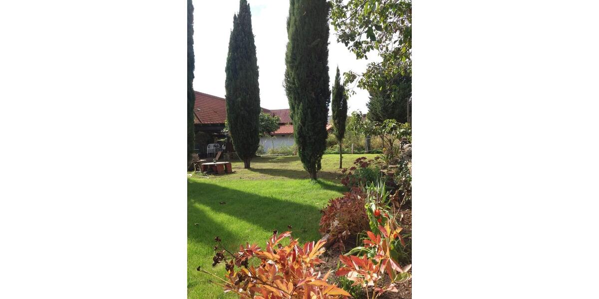 Erdgeschoßwohnung Kindenheim - 1 Zimmer, 34 m&sup2;, 255&euro; | Angebot:25516757