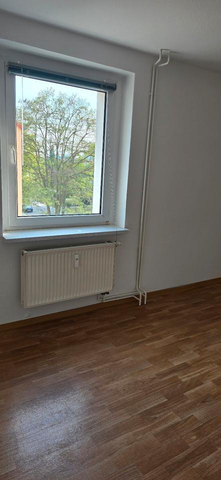 frisch renoviert und bezugsfrei 3 Zimmer in der Nordstraße zimmer