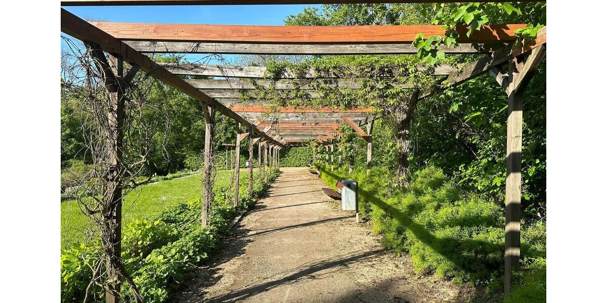 Etagenwohnung Naumburg (Saale) - 1 Zimmer, 41 m&sup2;, 550&euro; | Angebot:23246256