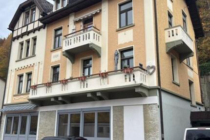 Neu sanierte Wohnung im Erdgeschoss in St. Blasien 3 zimmer