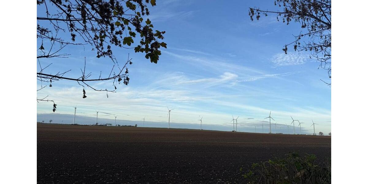 Erdgeschoßwohnung Erxleben - 3 Zimmer, 78 m&sup2;, 664&euro; | Angebot:25737831