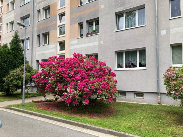 Etagenwohnung Hermsdorf - 3 Zimmer, 59 m&sup2;, 350&euro; | Angebot:26425562