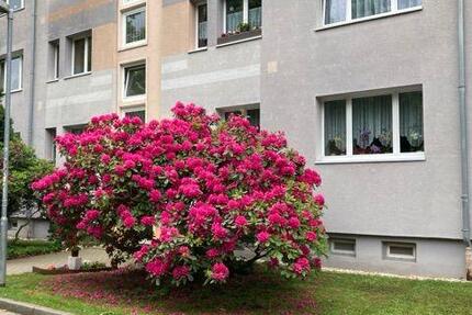 Wohnung Hermsdorf - 3 Zimmer, 59 m&sup2;, 350&euro; | Angebot:26425562