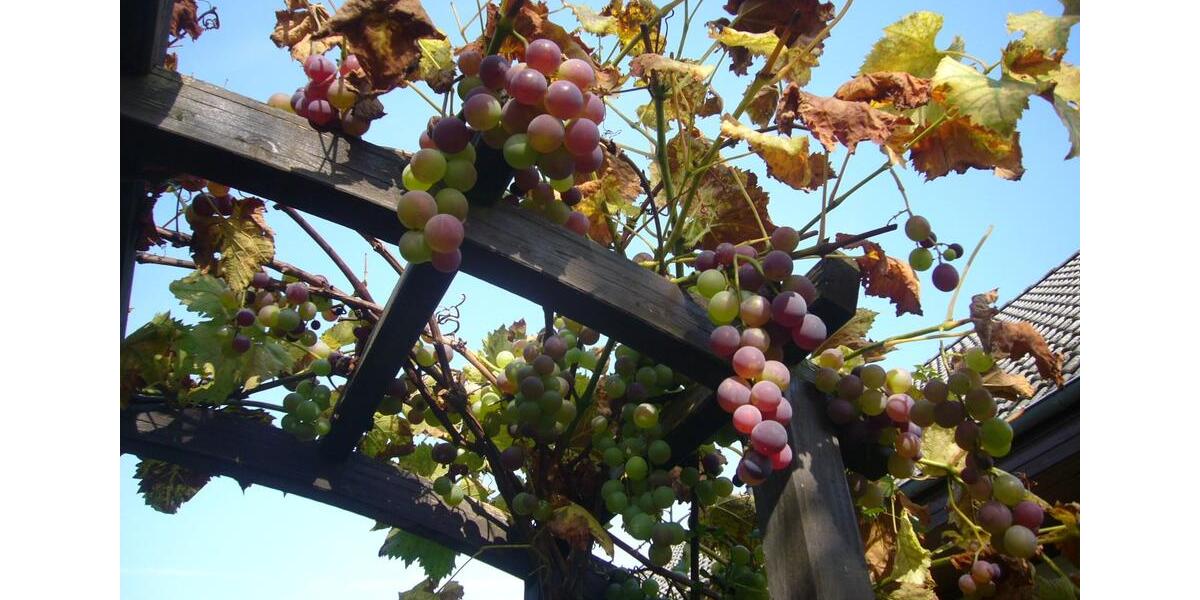 Etagenwohnung Hanstedt - 4 Zimmer, 101 m&sup2;, 880&euro; | Angebot:25902920