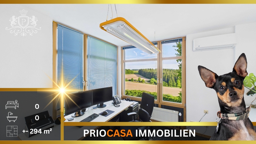 Moderne Bürofläche 294 m² Naturblick Nähe Luxemburg & Bleialf Klimaanlage Bis 12 Stellplätze zimmer