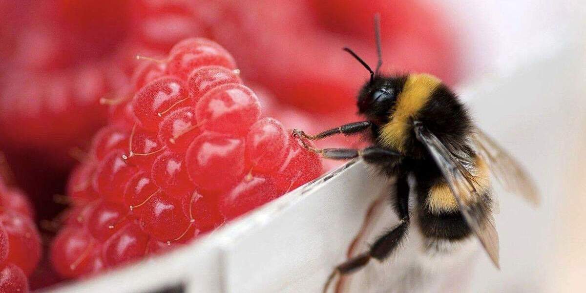 Etagenwohnung Tostedt (Kreis Harburg) Tostedt - 3 Zimmer, 83 m&sup2;, 996&euro; | Angebot:24478321