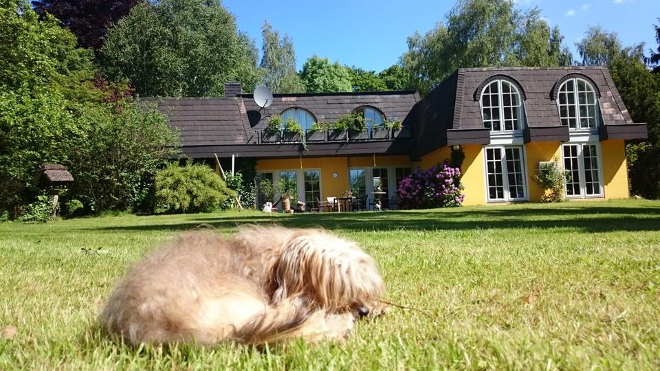 Loft - Studio - Atelier Seevetal - 2 Zimmer, 90 m&sup2;, 1.310&euro; | Angebot:24836372