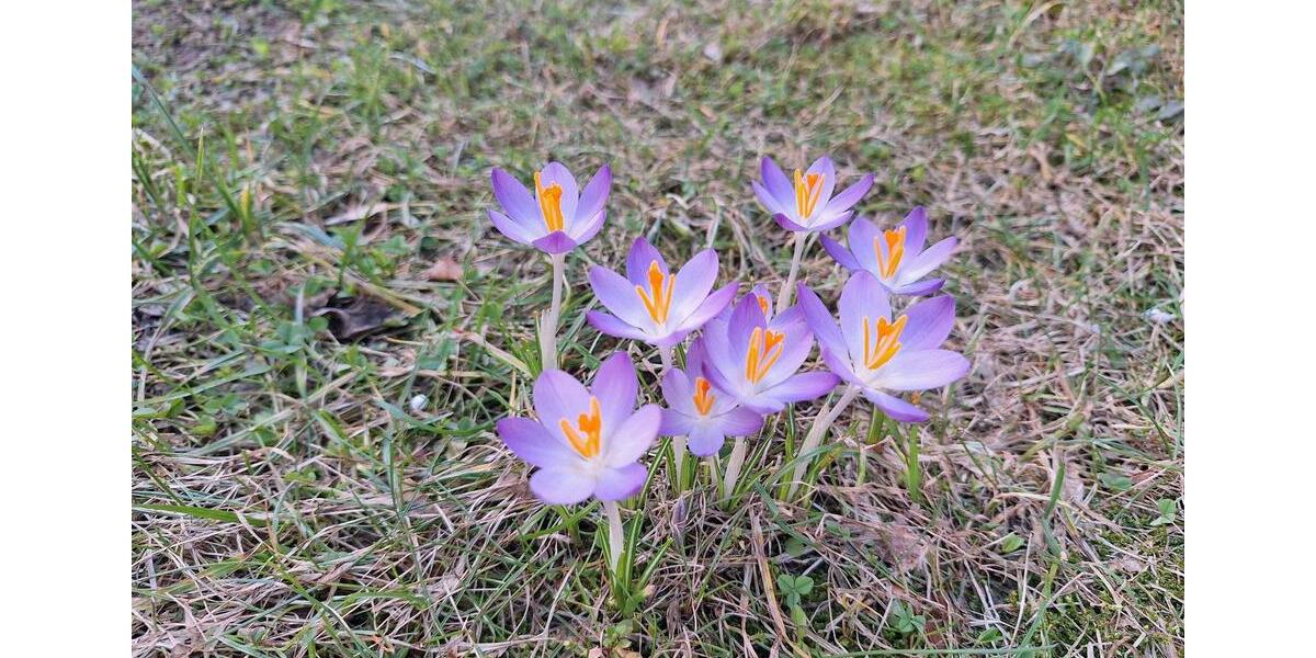 Wohnen auf Zeit Falkensee - 1 Zimmer, 12 m&sup2;, 350&euro; | Angebot:25383584