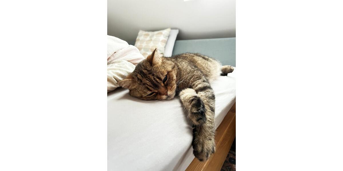 Maisonettenwohnung Kiel Wik - 5 Zimmer, 152 m&sup2;, 1.800&euro; | Angebot:26049707