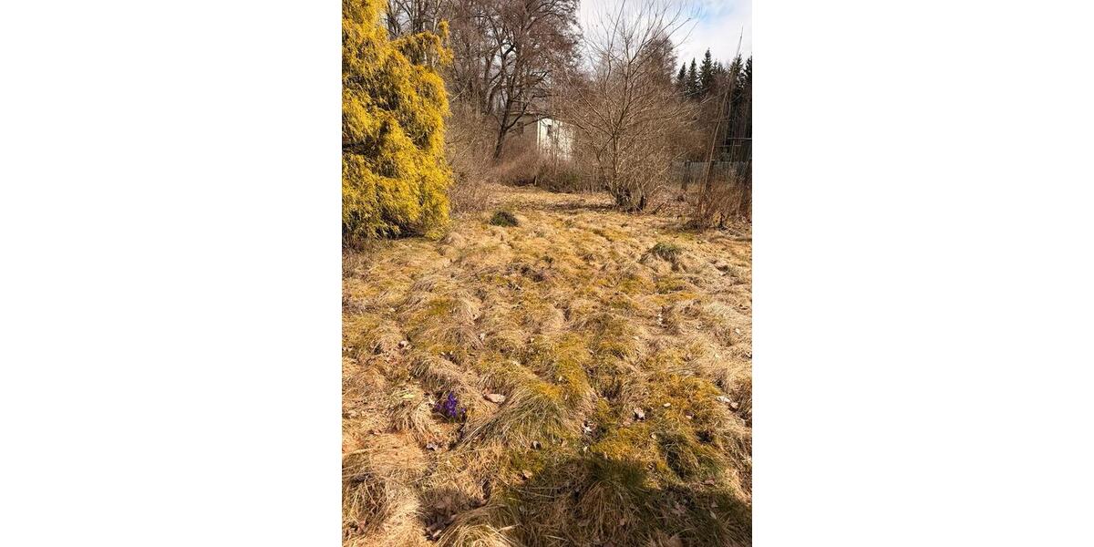 Etagenwohnung Naila - 4 Zimmer, 90 m&sup2;, 600&euro; | Angebot:25639240