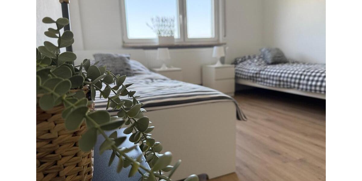 Wohnen auf Zeit Dossenheim - 3 Zimmer, 20&euro; | Angebot:22363361