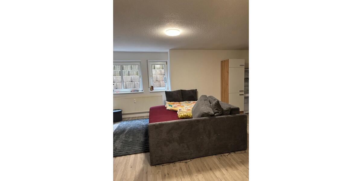 Erdgeschoßwohnung Armsheim - 1 Zimmer, 40 m&sup2;, 600&euro; | Angebot:24848078