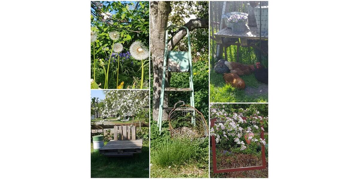 Wohnen auf Zeit Wrist - 5 Zimmer, 120 m&sup2;, 40&euro; | Angebot:21692169