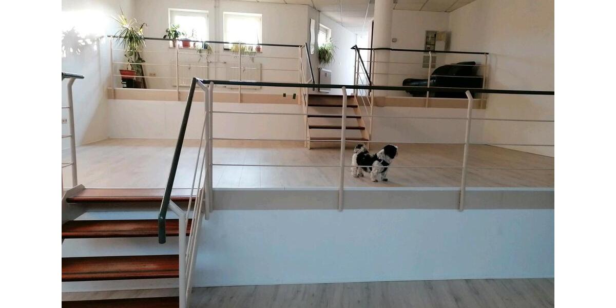 Gewerbeobjekt Rastatt - 699&euro; | Angebot:24698690