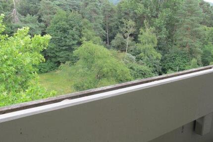 Komplett möblierte 2 Zimmer Wohnung direkt am Wald 2 zimmer