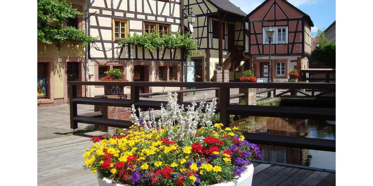 Etagenwohnung Annweiler am Trifels - 6 Zimmer, 154 m&sup2;, 1.220&euro; | Angebot:24873551