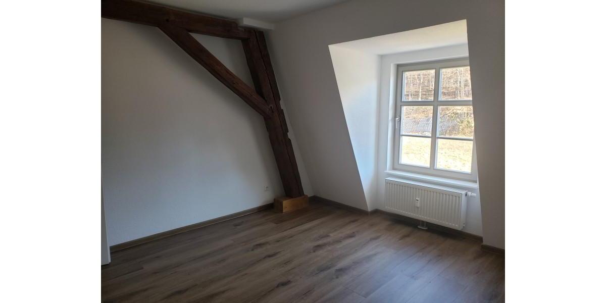 Etagenwohnung Hainichen - 2 Zimmer, 48 m&sup2;, 243&euro; | Angebot:25582024