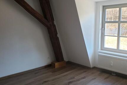 Wohnung Hainichen - 2 Zimmer, 48 m&sup2;, 243&euro; | Angebot:25582024