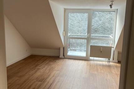 Ideal für Pendler: frisch renovierte, gemütliche Wohnung 1 zimmer