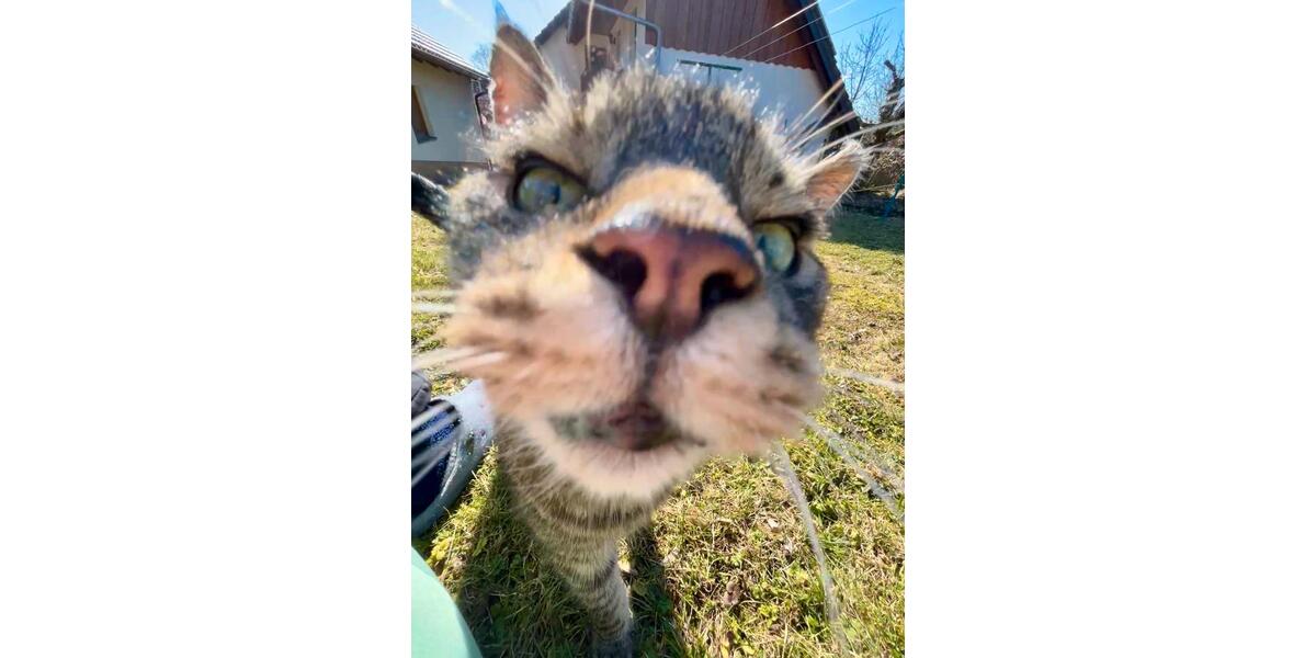 Wohnen auf Zeit Metten - 1 Zimmer, 18 m&sup2;, 550&euro; | Angebot:26028624