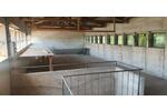 Gewerbeobjekt Schöneck - 1.750&euro; | Angebot:26623599