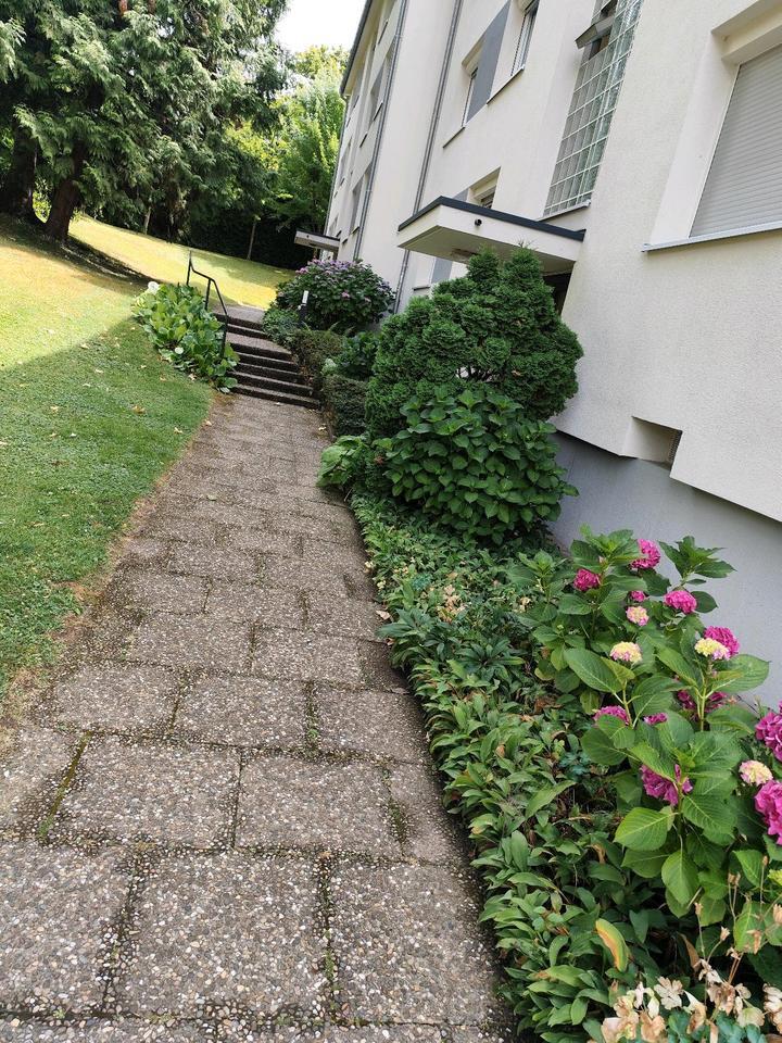 Sanierte 3-Zimmer-Wohnung ab Januar zu vermieten