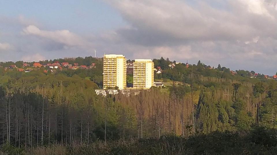 Wohnen auf Zeit Braunlage - 1 Zimmer, 37 m&sup2;, 100&euro; | Angebot:25835303