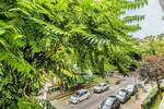 Etagenwohnung Frankfurt am Main Westend-Süd - 2 Zimmer, 48 m&sup2;, 1.810&euro; | Angebot:25768512