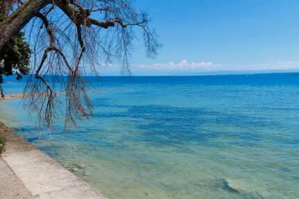 WG mit Garten | Konstanz Paradies | möbliert | All Inclusive 3 zimmer