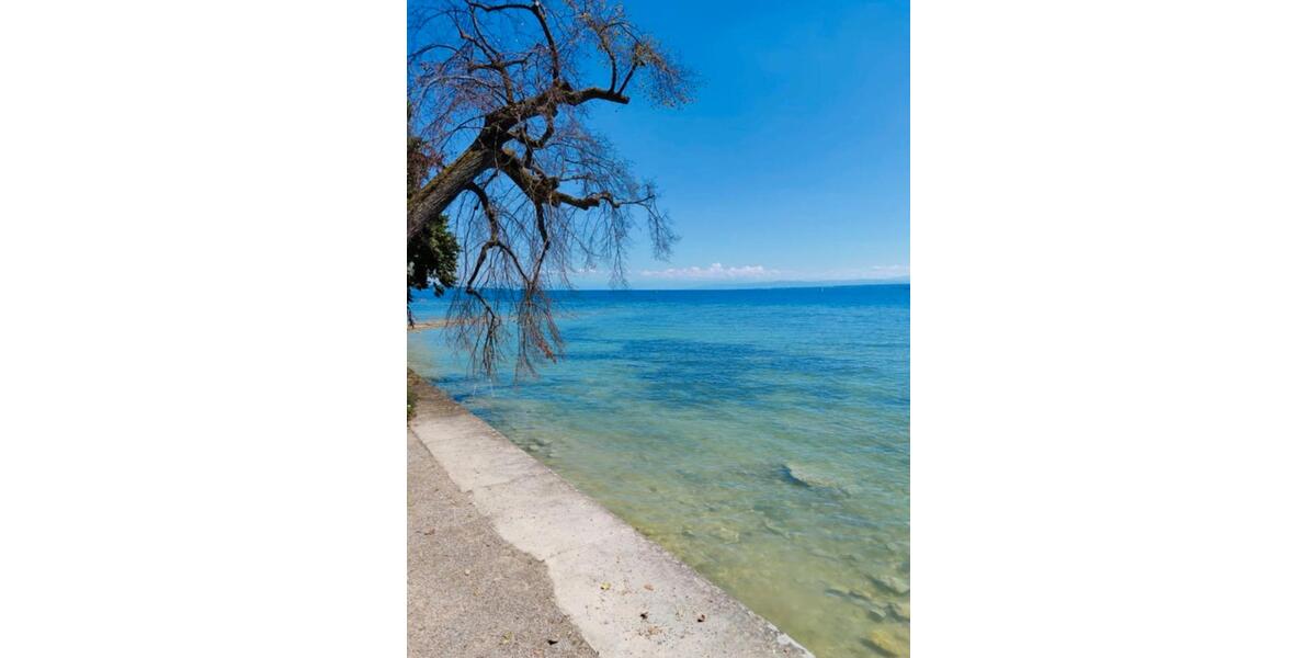 WG mit Garten | Konstanz Paradies | möbliert | All Inclusive 3 zimmer