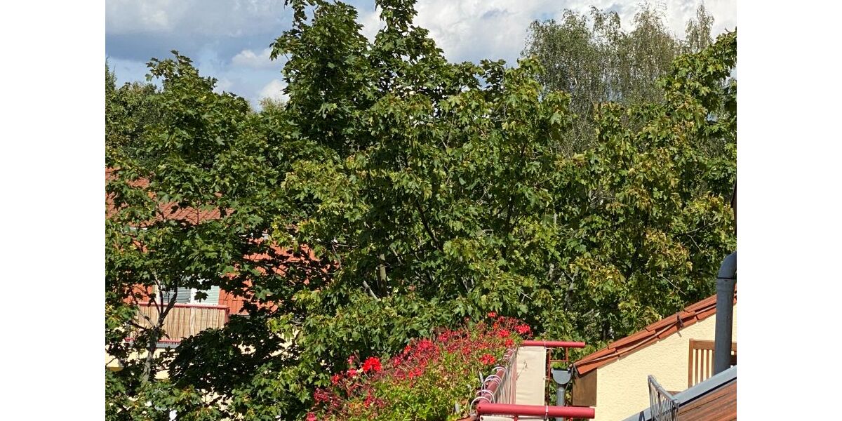 Penthouse 4-Room Apartment - Balcony & Top Location Weißensee - Appartement Berlin Weißensee | Angebot:26163675