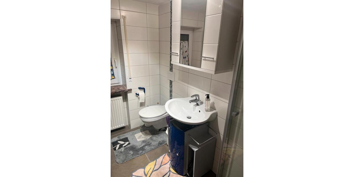 Etagenwohnung Hof Altstadt - 1 Zimmer, 27 m&sup2;, 418&euro; | Angebot:24953191