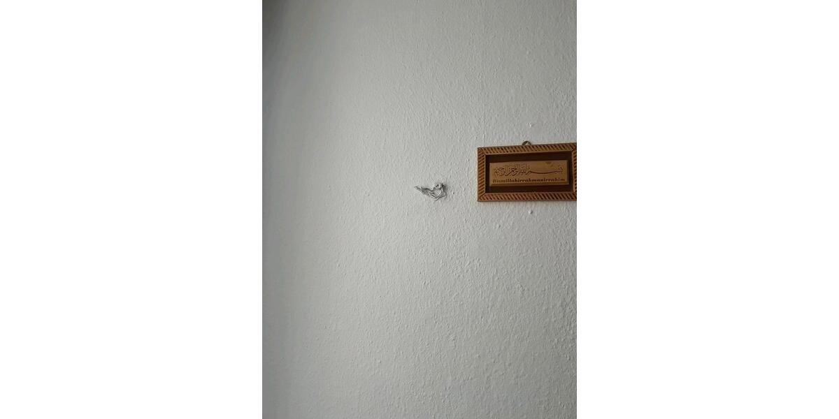 Etagenwohnung Koblenz Lay - 2 Zimmer, 65 m&sup2;, 750&euro; | Angebot:26285919