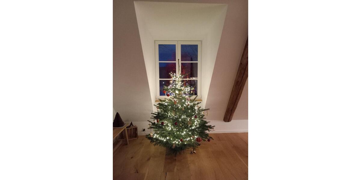 Traum in Ostenfelde, 2 Zimmer 78qm, 2023 vollsaniert (Denkmal) 2 zimmer