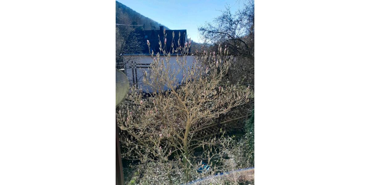 Dachgeschoßwohnung Weiler bei Bingen - 2 Zimmer, 45 m&sup2;, 400&euro; | Angebot:25866839