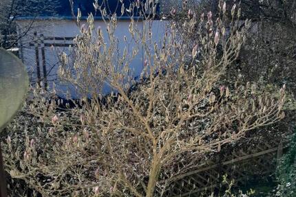 Wohnung Weiler bei Bingen - 2 Zimmer, 45 m&sup2;, 400&euro; | Angebot:25866839