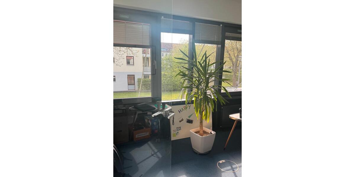 Gewerbeobjekt Köln Lindenthal - 264&euro; | Angebot:26285812