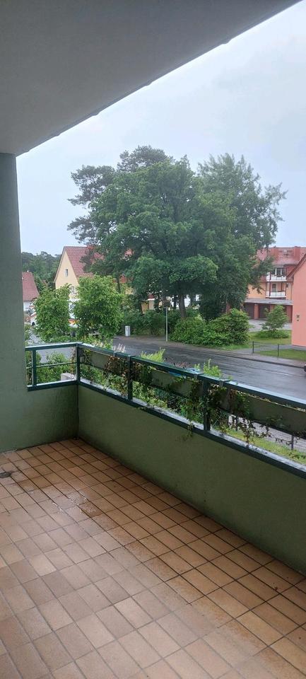 Schöne 3-Zimmer-Wohnung in Soltau- ab SOFORT