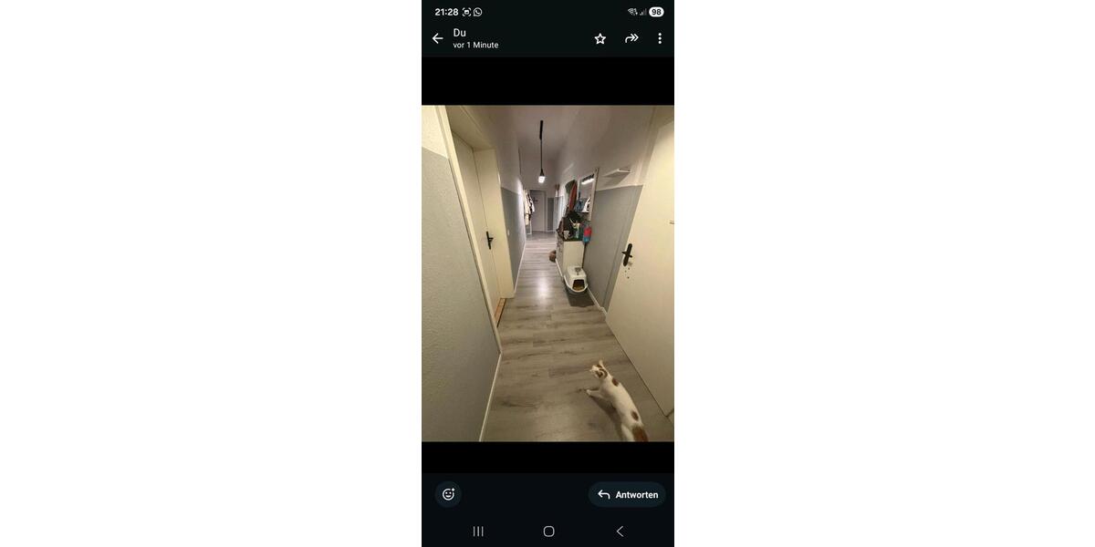 Etagenwohnung Schönebeck (Elbe) - 4 Zimmer, 128 m&sup2;, 1.150&euro; | Angebot:26251780