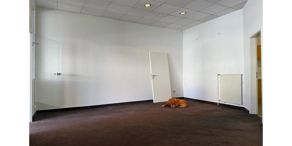 Gewerbeobjekt Bad Harzburg - 650&euro; | Angebot:24755689