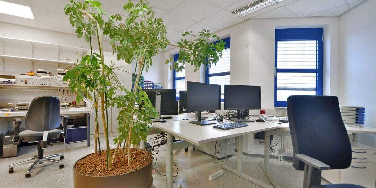 Gewerbeobjekt Baunatal / Rengershausen Rengershausen - 6.000&euro; | Angebot:24777699