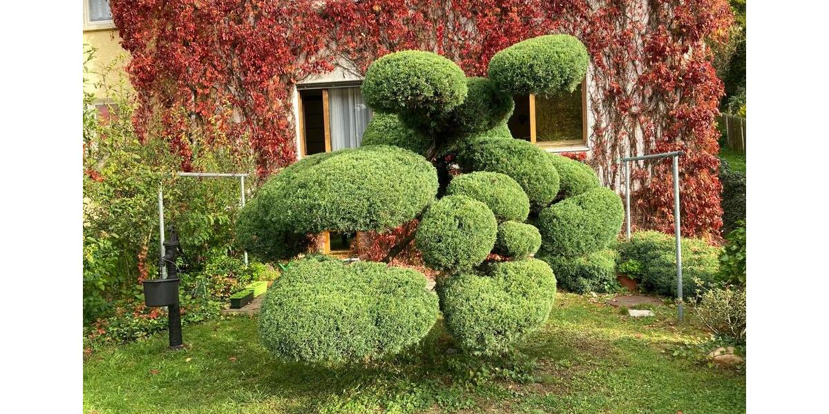 Erdgeschoßwohnung Jena Kernberge - 2 Zimmer, 55 m&sup2;, 450&euro; | Angebot:25237455